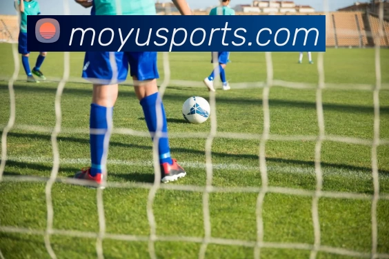 多媒体互动体验